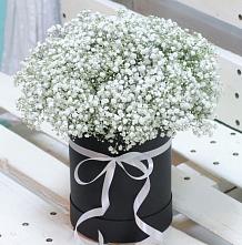Цветочная композиция из Гипсофила в шляпной коробке #REPLACE_PRED# Трехгорку