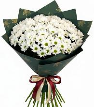 Букет цветов из:  Хризантемы #REPLACE_PRED# Трехгорку