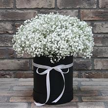Цветочная композиция из Гипсофила в шляпной коробке в Трехгорку