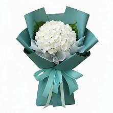 Букет цветов из:  Гортензия #REPLACE_PRED# Трехгорку